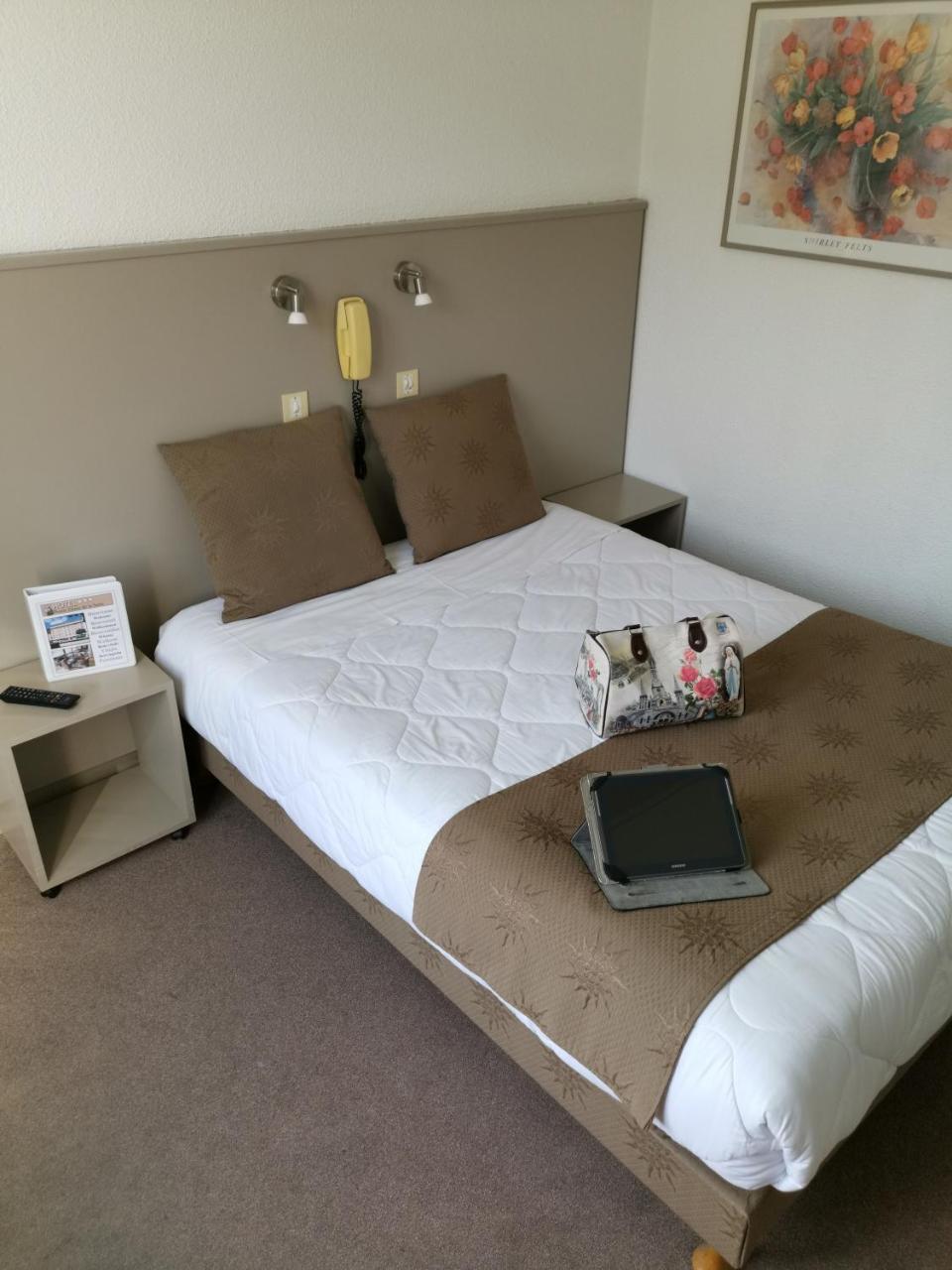Hotel Adonis Lourdes - Notre Dame De La Sarte Esterno foto