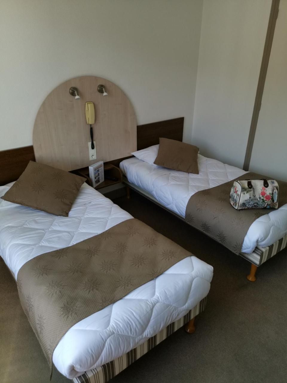 Hotel Adonis Lourdes - Notre Dame De La Sarte Esterno foto
